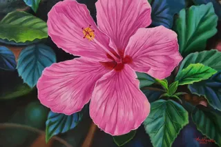 Alford Roy Dela Cruz - Hibiscus 3 - drybrush Gallery - Philippine Art